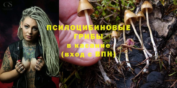 гидра Армянск