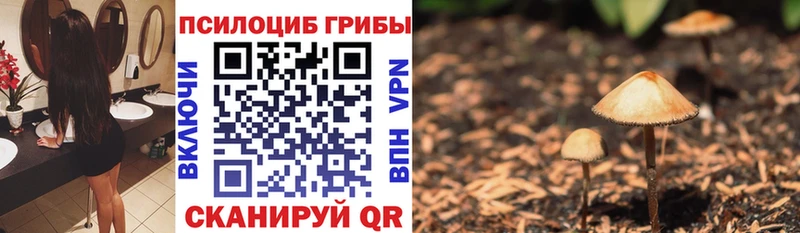 Купить закладки  Рассказово  Галлюциногенные грибы мицелий 